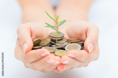Investing to green business photo