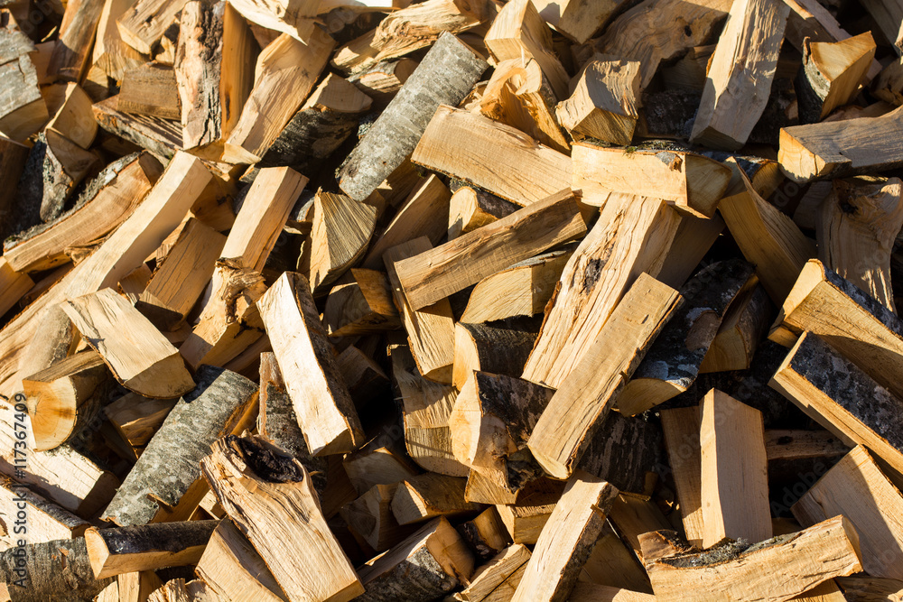 Pile of Cut Trees Pile of Cut Trees