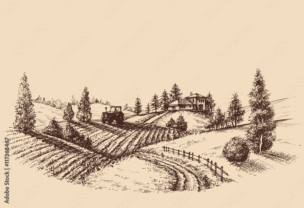 Farm landscape etch, agriculture scene