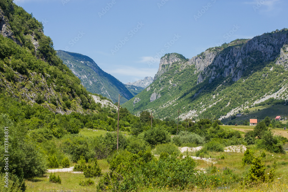 Summer Colorful Nature Landscape Summer Colorful Nature Landscape