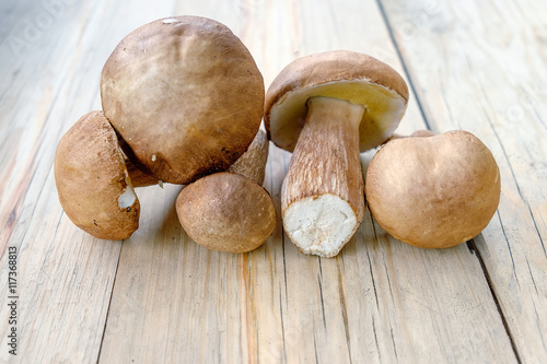 Porcini mushrooms on wooden table background