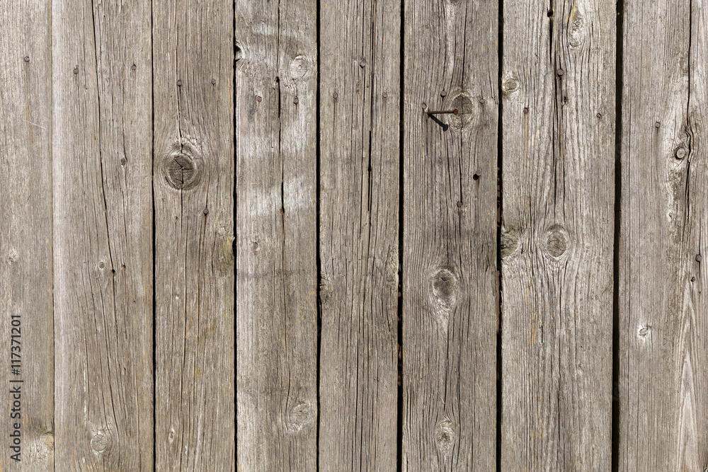 Naklejka premium The old wood texture with natural patterns