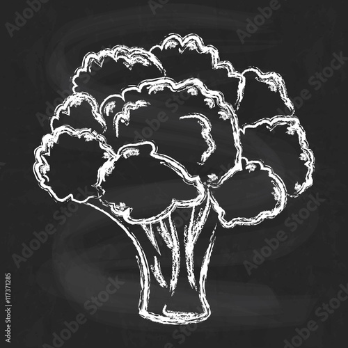 Atristic hand drawn vector illustration of broccoli