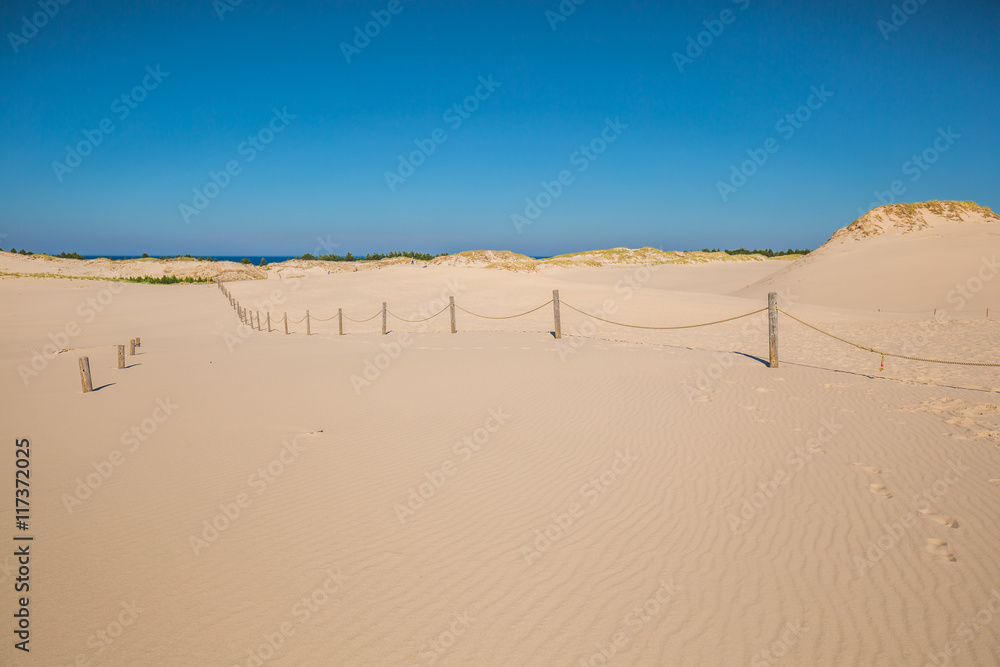 Moving dunes in the Slowinski National Park, Poland