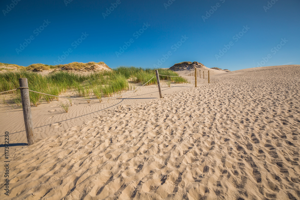 Desert landscape, Slowinski National Park near Leba, Poland