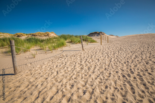 Desert landscape, Slowinski National Park near Leba, Poland photo