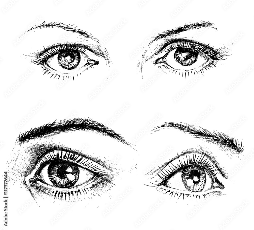 Fototapeta premium Eyes icons isolated. Carbon drawing vector set