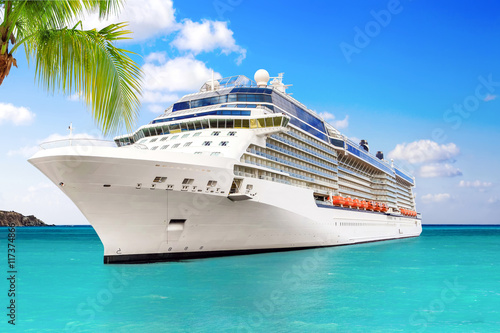 Luxury Cruise Ship Sailing to Port
