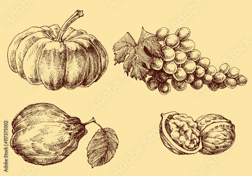Fruits vector set hand drawn