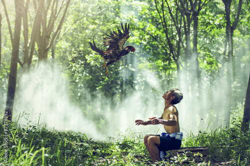 Man cleaning Thai gamecock. FitnessThai gamecock. photo