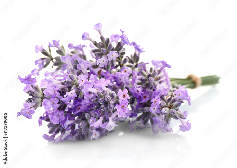 Fototapeta premium Bouquet of lavender flowers on light background