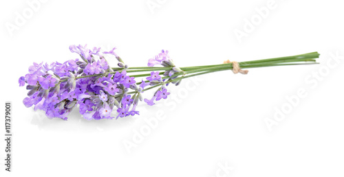 Fototapeta Naklejka Na Ścianę i Meble -  Lavender flowers on light background