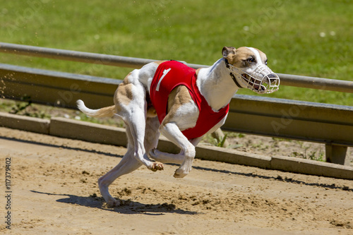 Fotografie Gekke houding tijdens het sprinten.