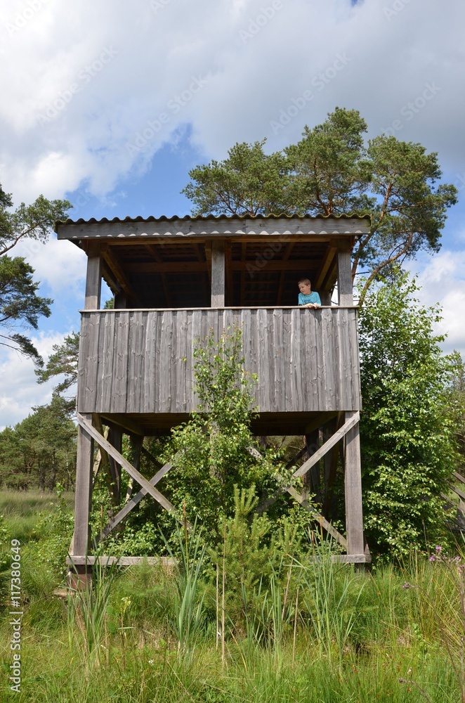 Kind auf Aussichtsturm aus Holz in der Natur - Moorwald