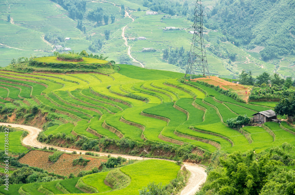 Agriculture Green Rice fields and rice terraced on mountain at SAPA, Lao Cai, Mu Cang Chai, Vietnam. The most of area is rice terraced. nature and landscape rice fields