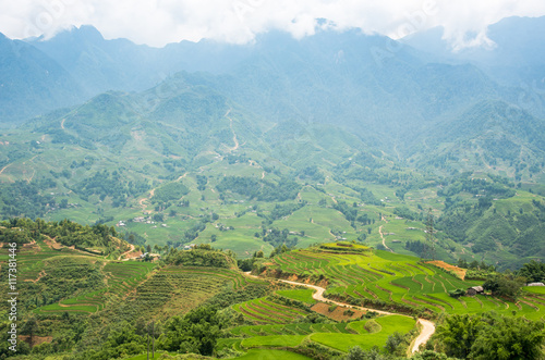 Agriculture Green Rice fields and rice terraced on mountain at SAPA, Lao Cai, Mu Cang Chai, Vietnam. The most of area is rice terraced. nature and landscape rice fields