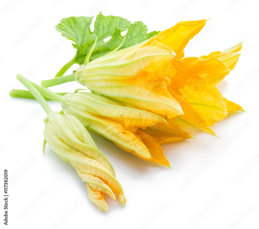 Zucchini flowers on a white background. Zucchini flowers on a white background.