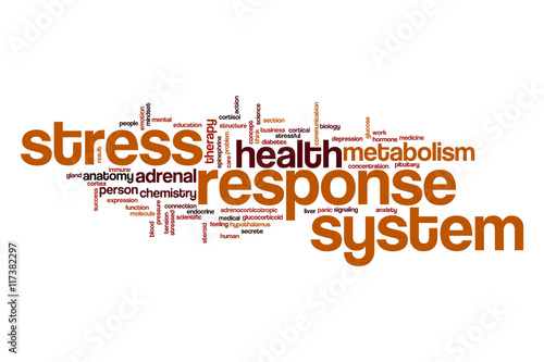 Stress response system word cloud concept photo