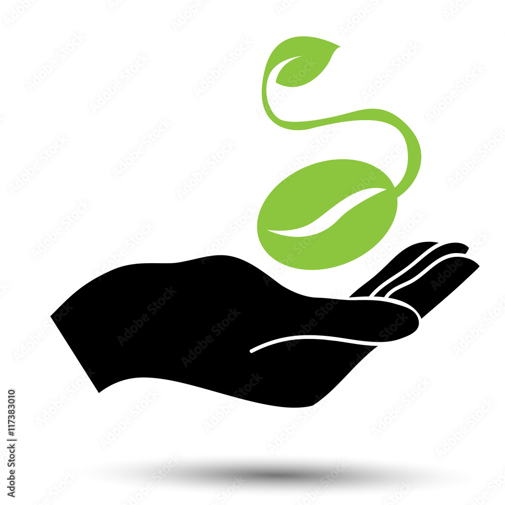 Obraz premium Зеленое семя, ладонь