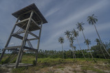 Bottom view of observation tower with palm trees over blue sky with clouds
