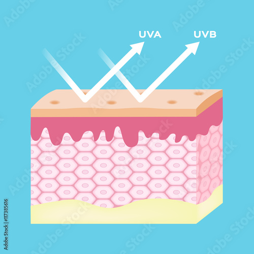 uv protection vector , uv comparison
