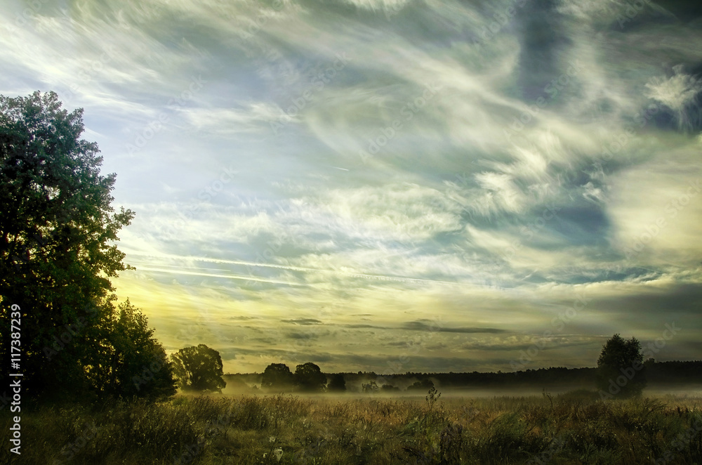 Landscape with the morning mist Landscape with the morning mist