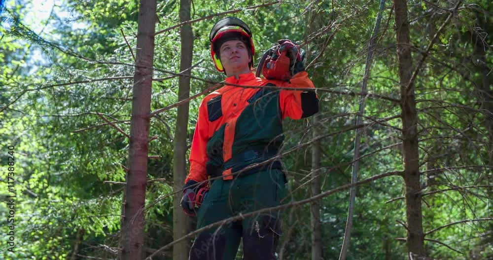 A proud logger is observing the forest with a chainsaw on his shoulder. Then he looks into a camera and gives thumbs up and smiles.
A proud logger is observing the forest with a chainsaw on his shoulder. Then he looks into a camera and gives thumbs up and smiles.