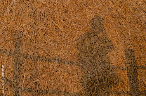 Selfie, shadow of photographer against straw heap.