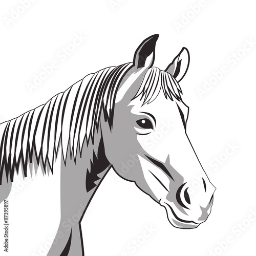 flat design horse drawing icon vector illustration