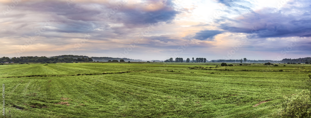Naklejka premium rural landscape in rain with green meadow