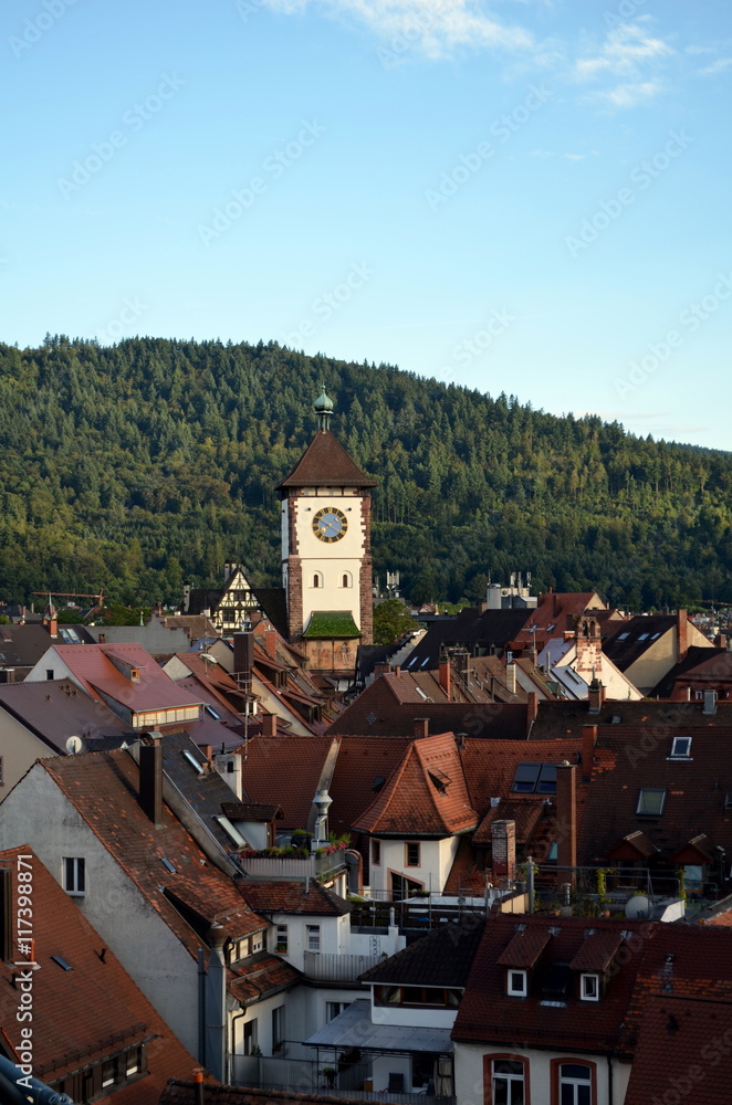 Schwabentor hinter Freiburgs Dächer