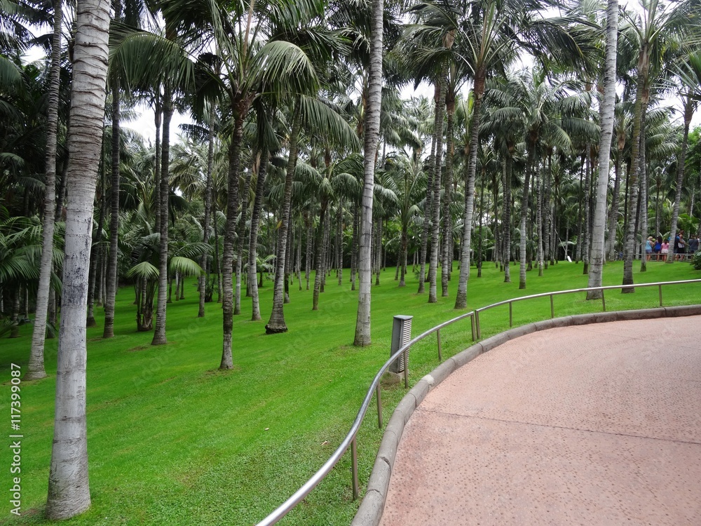 Obraz premium Park