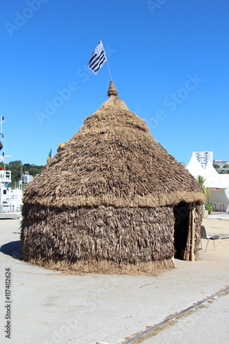 Hutte traditionnelle polynésienne photo