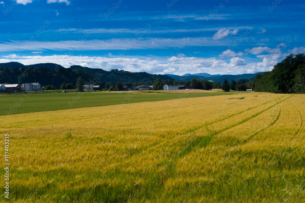 Field at farm in Norway