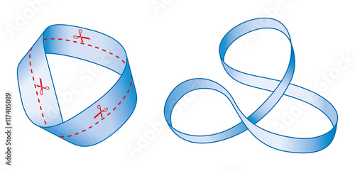 Cutting a Moebius strip along the center line with a pair of scissors yields one long strip with two full twists in it, rather than two separate strips. The result is not a Moebius strip. Mobius band.