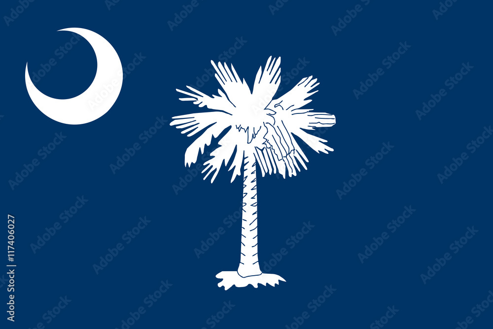 Fototapeta premium Flag of South Carolina, Authentic version in color and scale