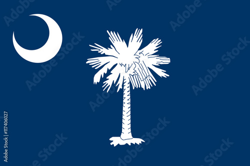 Fotografie, Obraz Flag of South Carolina, Authentic version in color and scale