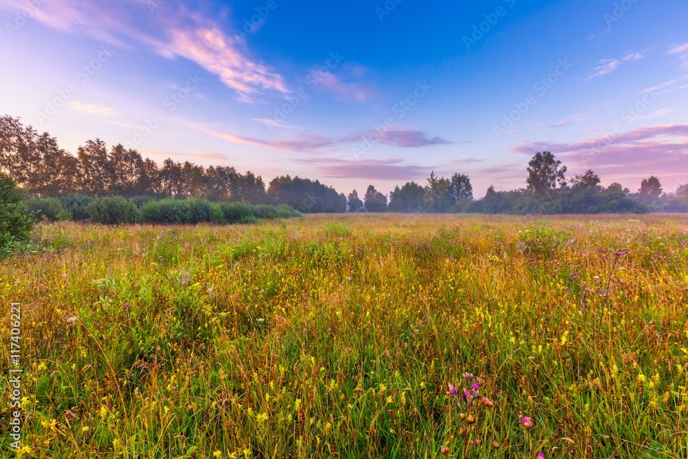 Obraz premium Vibrant summer sunrise over foggy, magical meadow