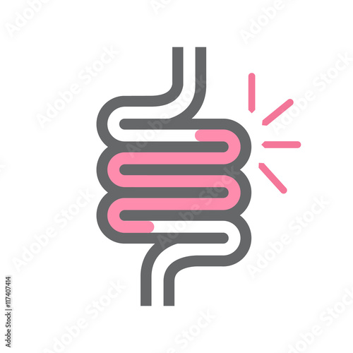 Vector intestine symbol or icon photo