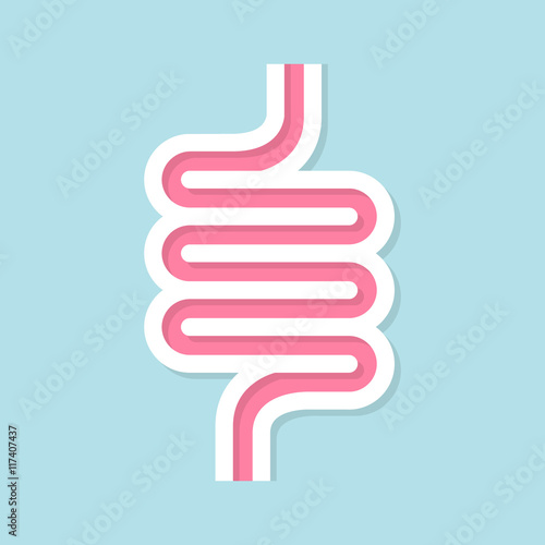 Intestinal vector design