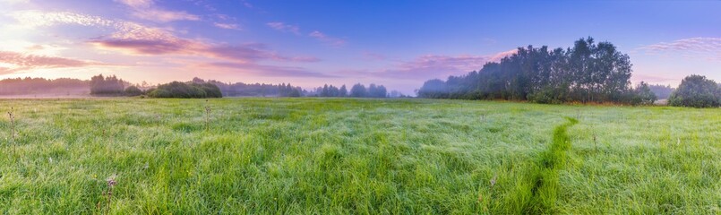 Fotobehang Zomer Wilde bloemenweide bij zonsopkomst  © milosz_g