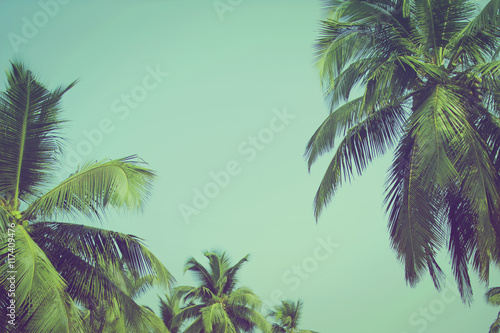 Kokosowi drzewka palmowe przy tropikalnym plażowym rocznika filtrem