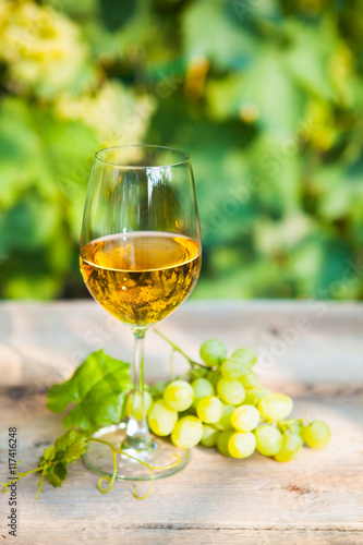 Green grape and one glass of white wine in the vineyard