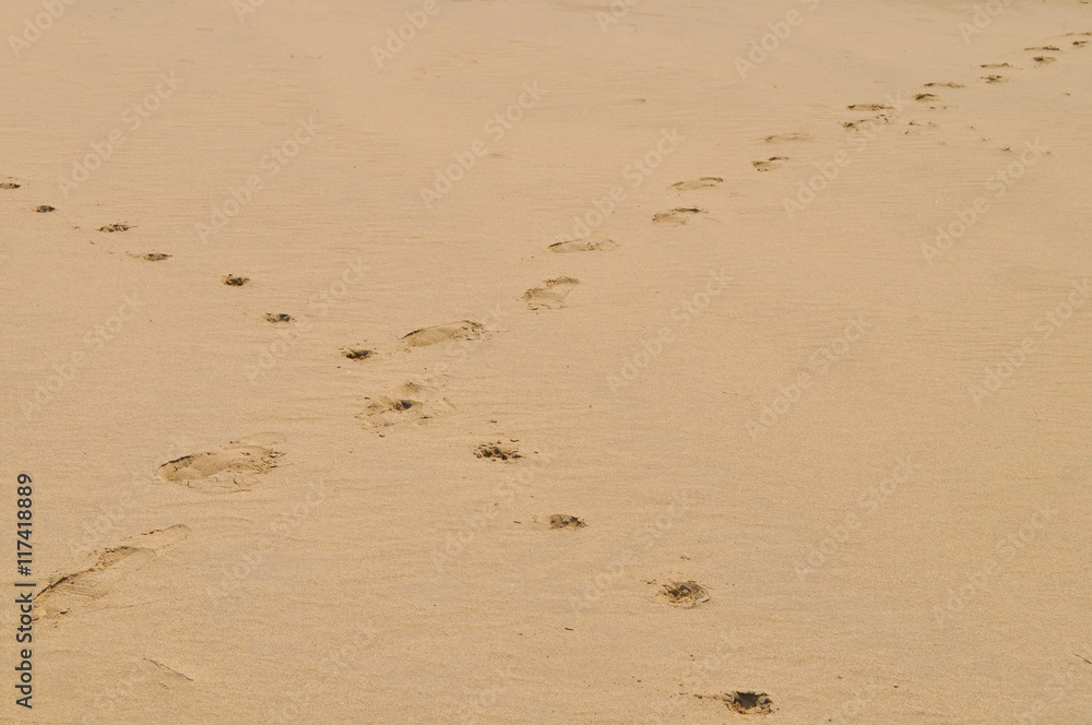 Footprint of the desert Footprint of the desert
