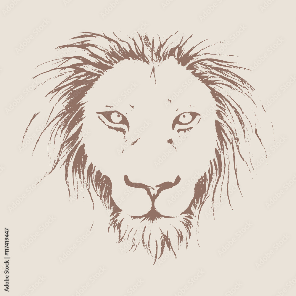 African Lion Face Drawing