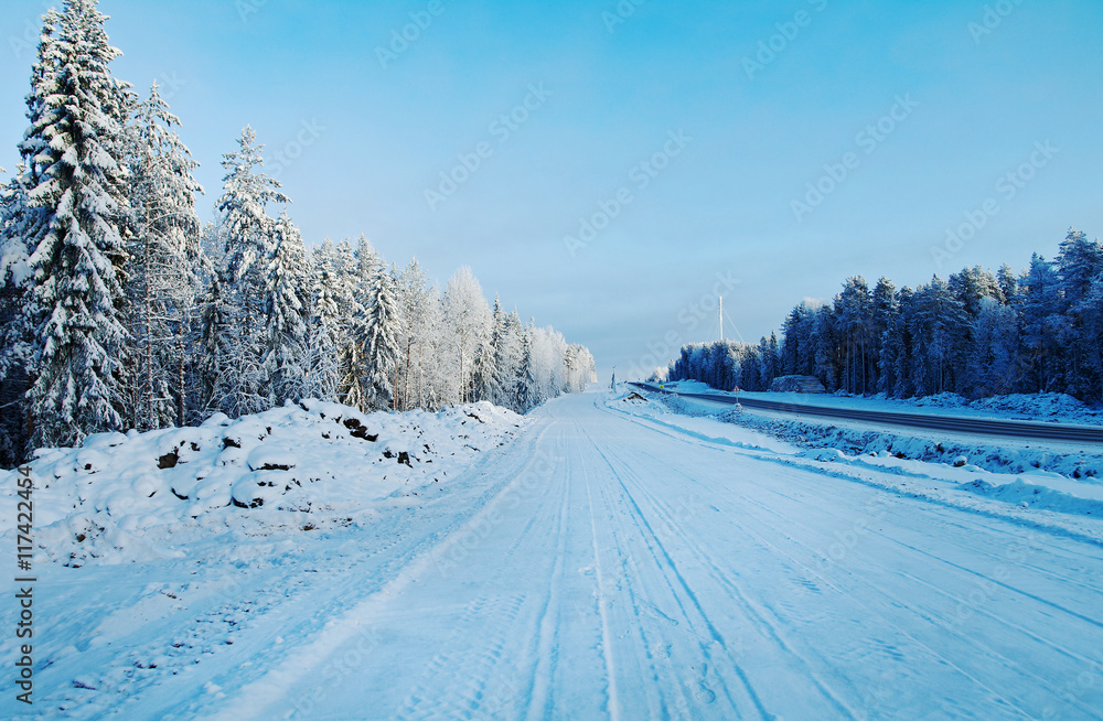 Winter landscape