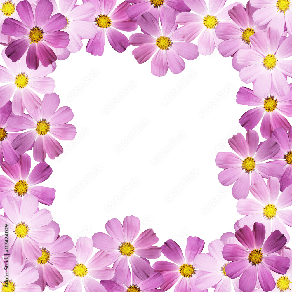 Beautiful summer background of delicate pink flowers Beautiful summer background of delicate pink flowers