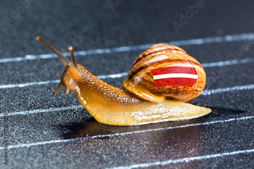 Snail under flag of Latvia on sports track