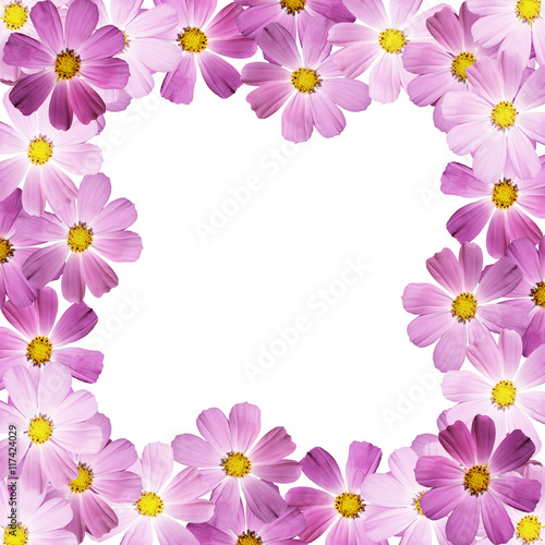 Beautiful summer background of delicate pink flowers 