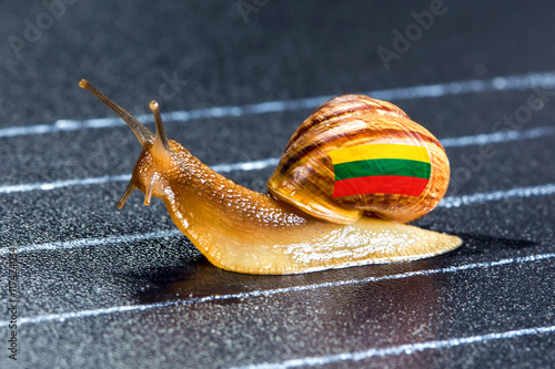 Snail under flag of Lithuania on sports track
